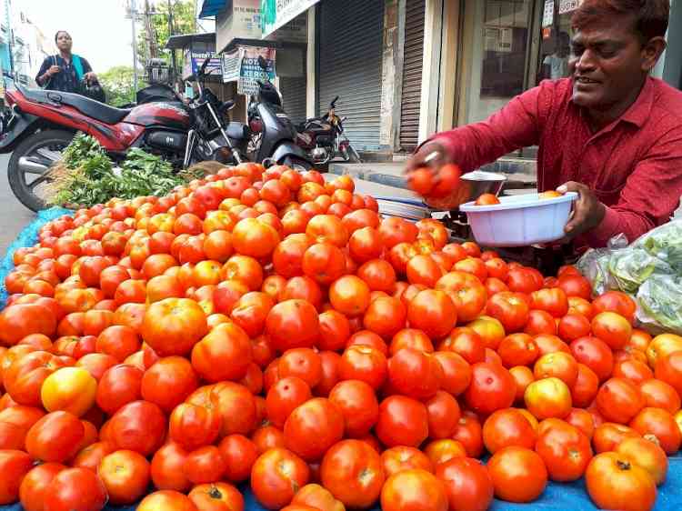India's Nov retail inflation sequentially inches up to 4.91%
