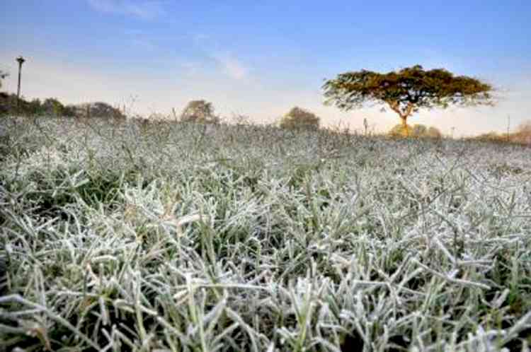 Rajasthan braces for cold wave conditions on Tuesday too