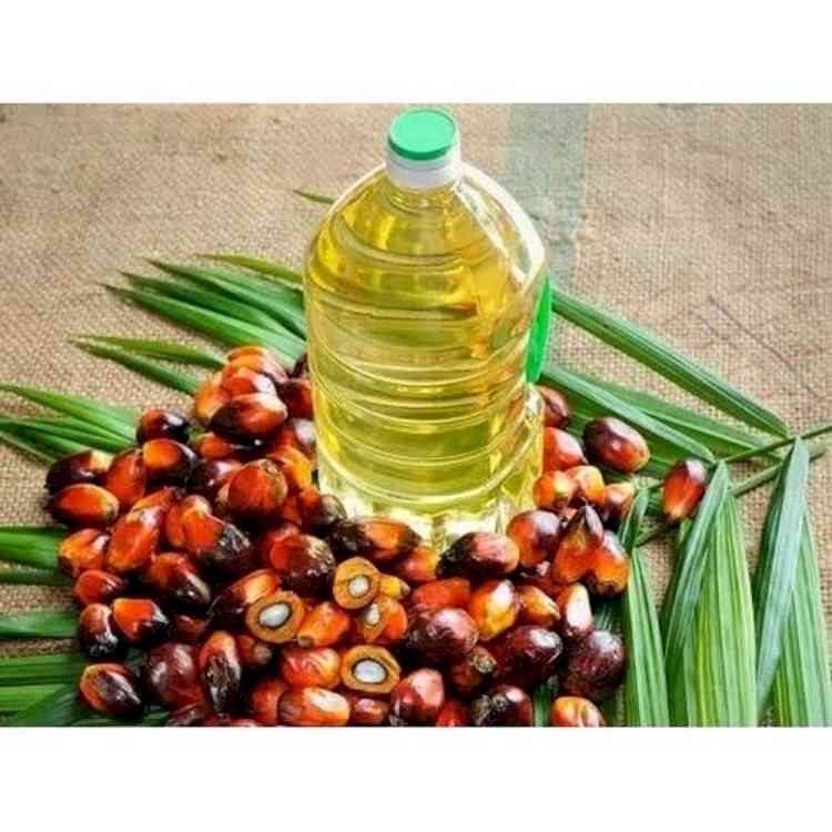 India extends 'free' import policy for different palm oils