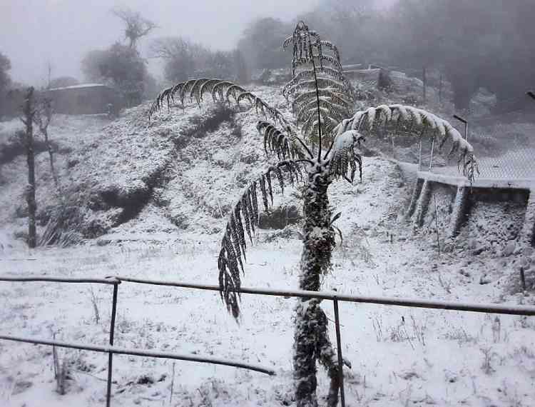Darjeeling witnesses first snowfall of the year