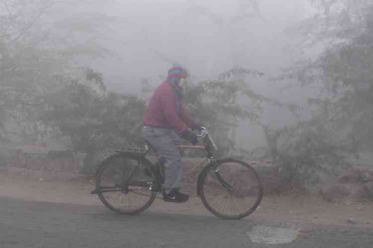 No respite from cold wave for Punjab, Haryana, south TN to see more rain