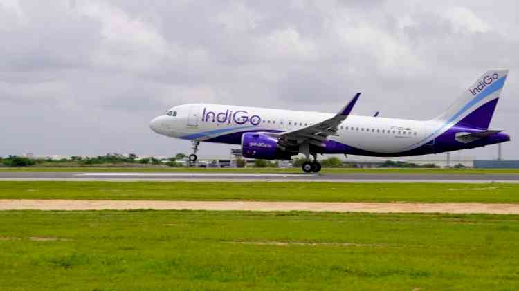 Indigo to cancel around 20% flights, waive change fees