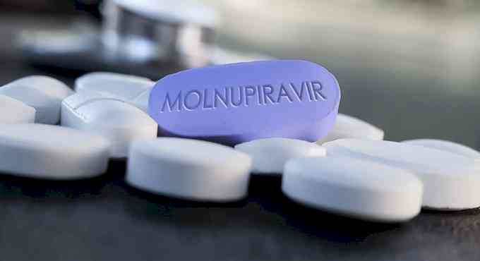 Molnupiravir best bet in fight against Covid: Experts