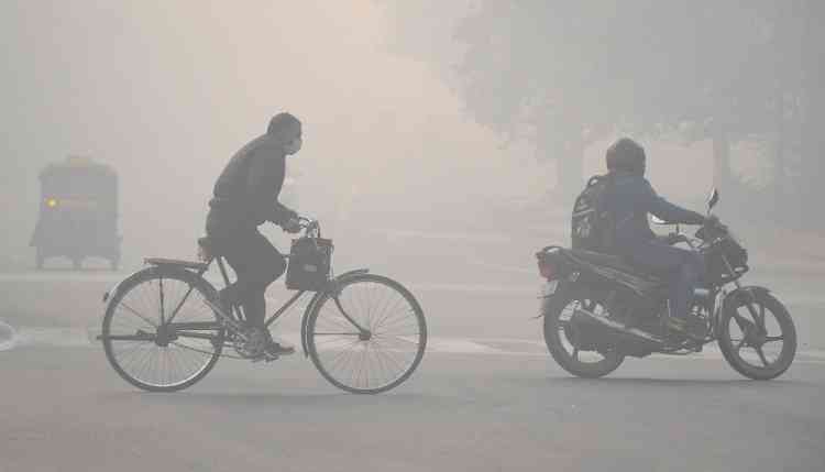 NW India to see dense fog, cold wave conditions in next few days