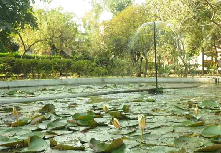 KMV’s Botanical Garden providing scientific and practical education to the students