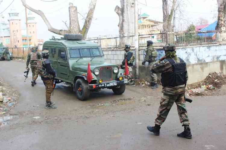 7 foreigners among 14 terrorists killed in Kashmir since Jan 1