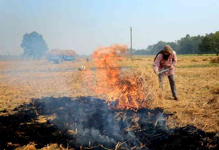 Include clean air in poll manifestos, political parties urged