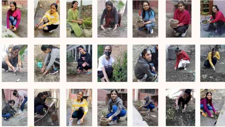 KMV organises plant a hope- a tree plantation drive