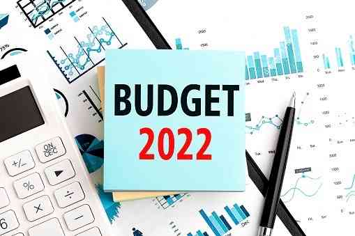 Budget to focus on fiscal consolidation while pushing private capex