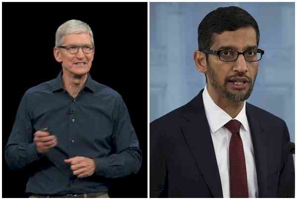 Cook, Pichai lobbying US Senators against antitrust law: Report