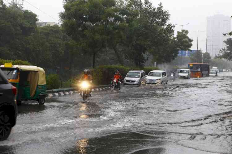 Delhi records wettest January since 1901