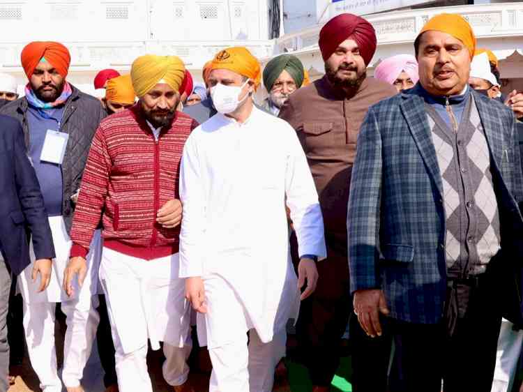 5 Cong MPs 'absent' from Rahul's poll campaign launch in Punjab