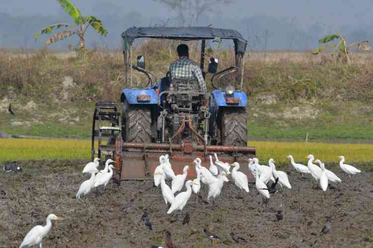 Chemical-free, natural farming with focus on Ganga basin to be promoted: FM