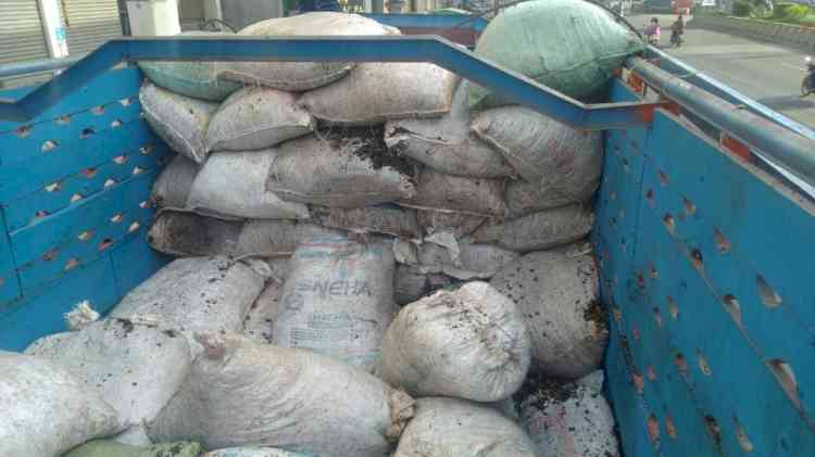 610 kg ganja seized from a truck in Delhi, 1 held