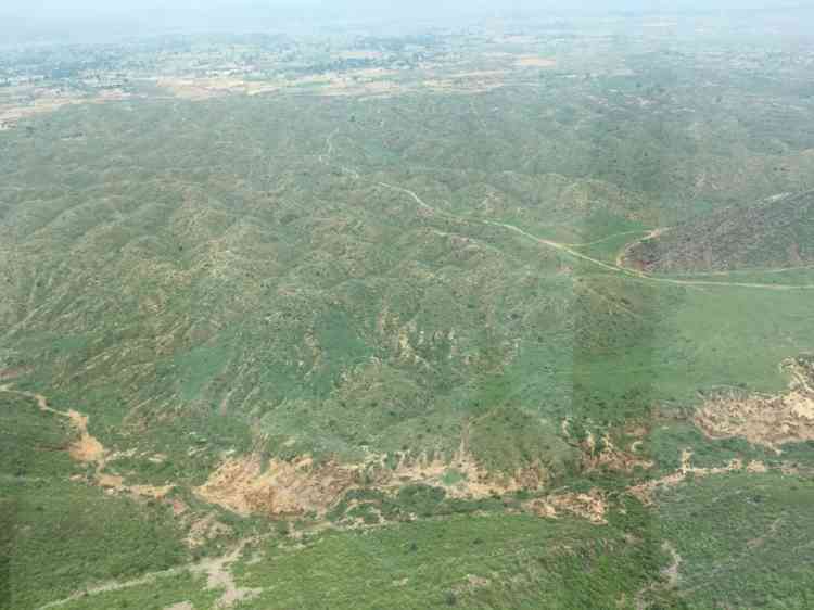 Aravalli restoration in Haryana gets accolades