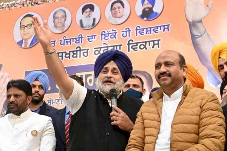 Channi, whose nephew is charged with unaccounted Rs 10 cr, cannot be poor CM: Sukhbir