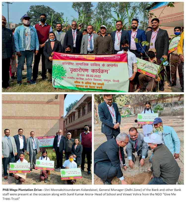 PNB takes up mega plantation drive in Delhi