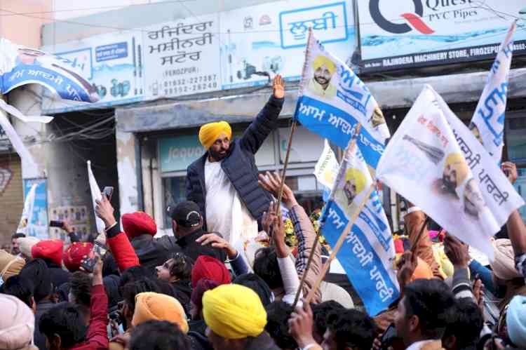 Congress fooled youth of Punjab with hoax job fairs: Bhagwant Mann