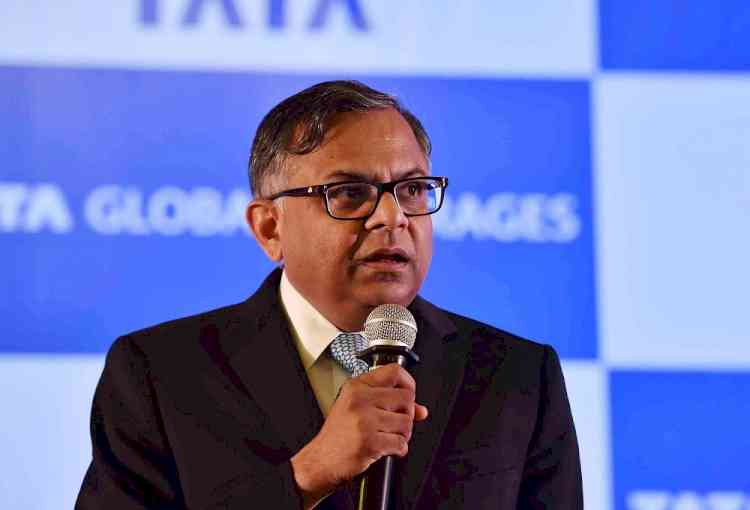 Tata Sons Board renews Chandrasekaran's term as Executive Chairman