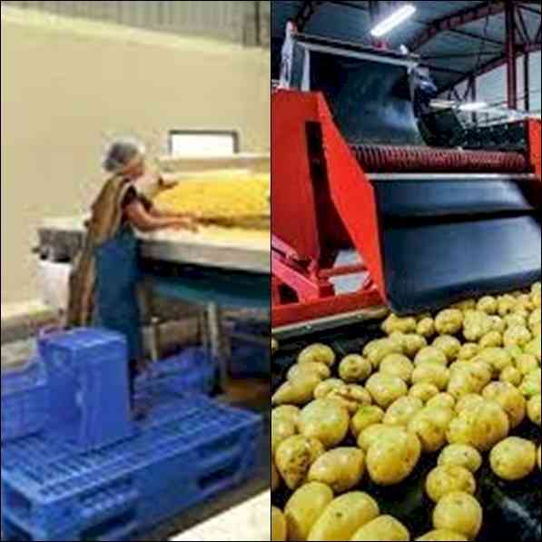 PLI in food processing enhanced to promote exports
