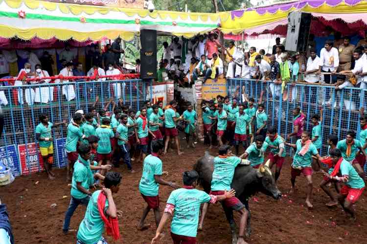 Spectator gored to death by bull at Jallikattu event in TN