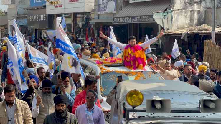 People should teach lesson to those who looted Punjab: Raghav Chadha