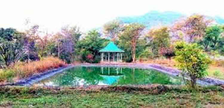 Himachal to have 198 herbal gardens for elderly