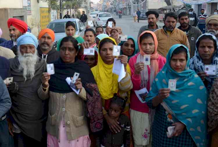 63% voter turnout in Punjab till 5 pm