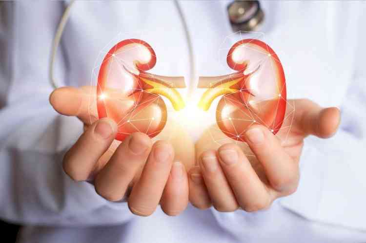 Reduction in air pollution can help improve kidney function: Study