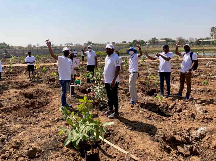 Bosch Global Software Technologies strengthens commitment to sustainability Plants 25,000 saplings to celebrate 25 years in India