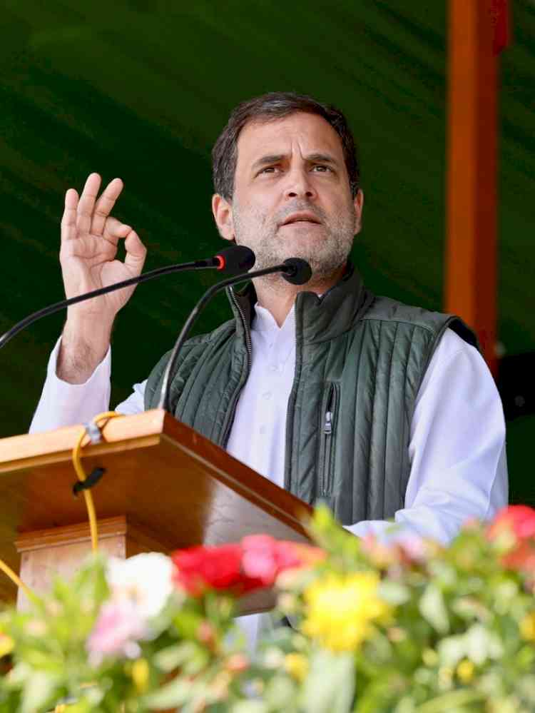 Rahul Gandhi releases first part of Stalin's autobiography