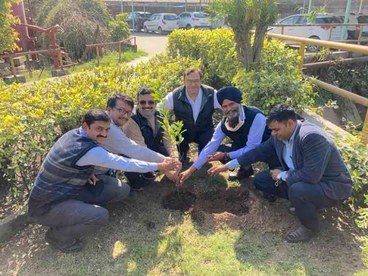 Maha Shivratri observed by plantation drive at Hero Steels Limited