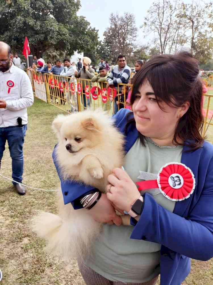 Dog Show organised at Science City