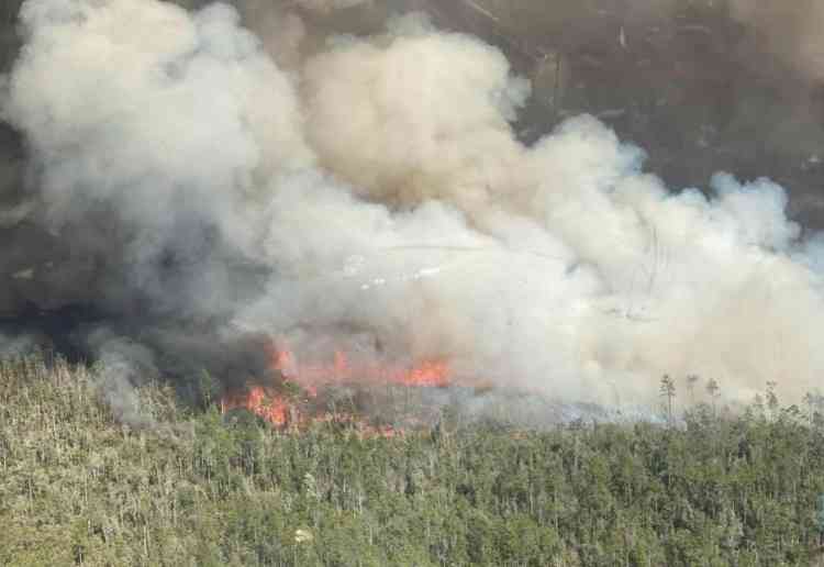 Fast-spreading Florida wildfires lead to evacuation