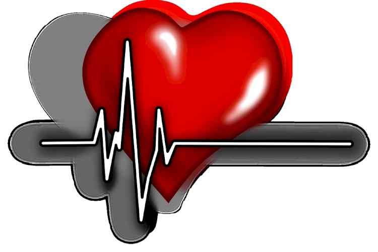 Prior heart defect may up risk for severe Covid: Study