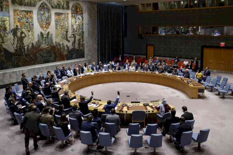UNSC calls for decisive action to end Russia-Ukraine conflict