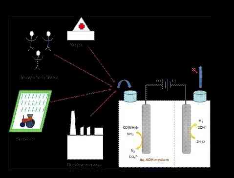 Indian scientists design electrocatalyst system for energy-efficient hydrogen production