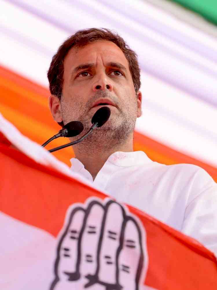Humbly accept people's verdict: Rahul