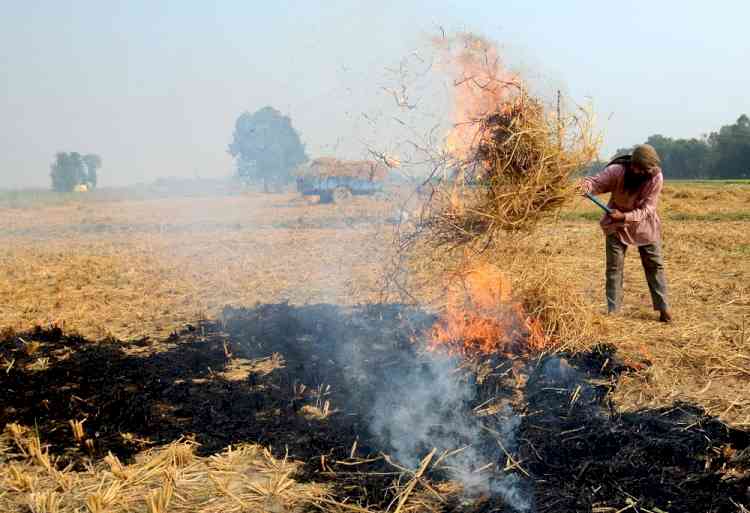 Will AAP govt in Punjab help Delhi get rid of air pollution?