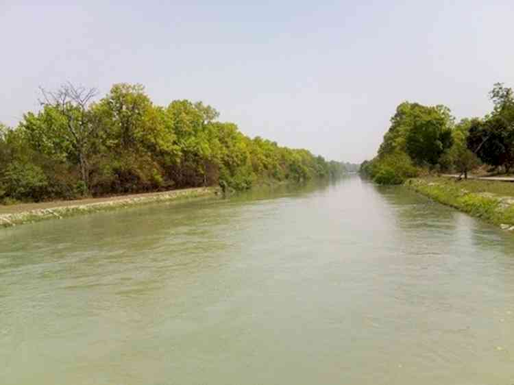 With AAP in Punjab, what will happen to Sutlej-Yamuna Link canal row?