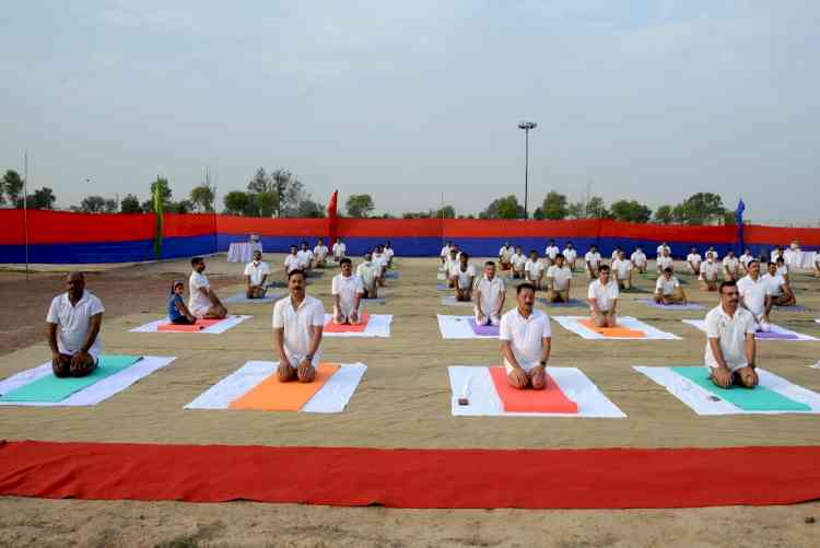 Countdown of 8th International Yoga Day to begin with Mahotsav