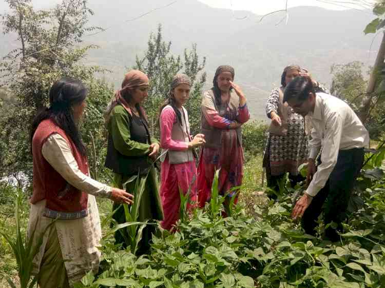 Himachal women farmers scripting success, natural way
