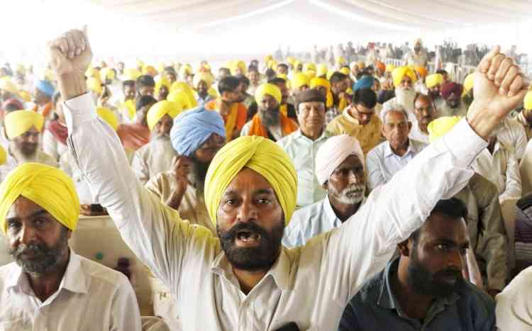 Donning traditional 'basanti' turbans, thousands head for Mann's oath