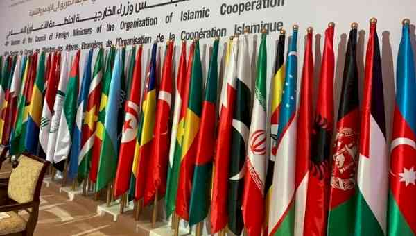 Pakistan aims broader alliance through 48th OIC CFM session