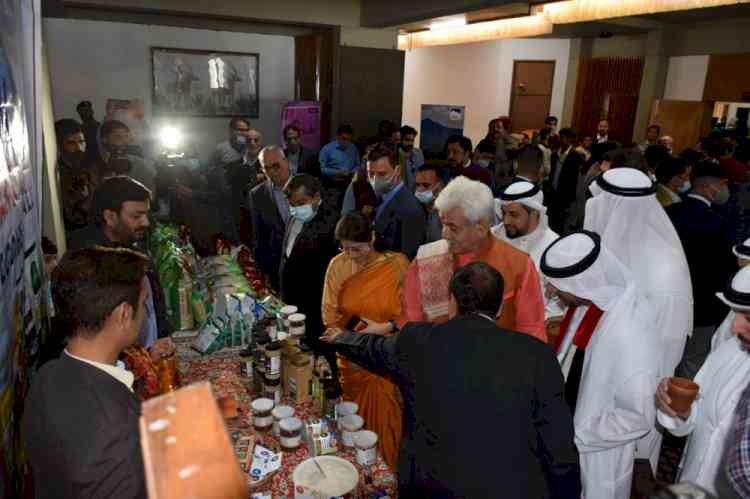 J&K LG addresses Gulf Countries' Investment Summit