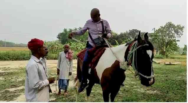 Hit by high fuel prices, Bihar power dept staff rides a horse to collect bills