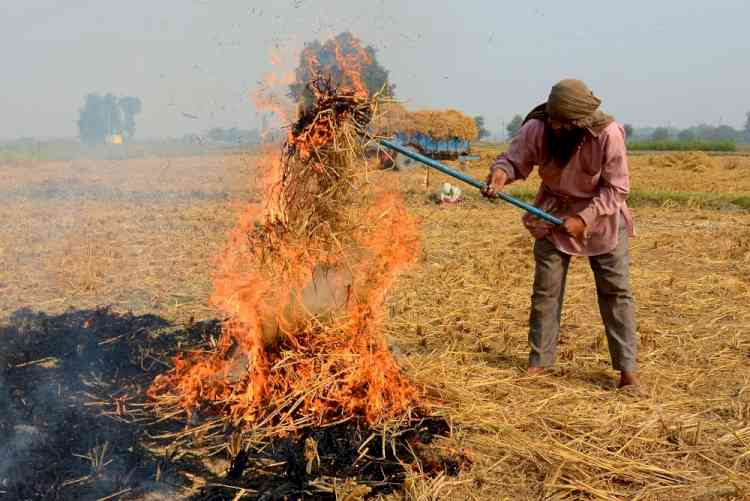 Haryana's stubble burning efforts lauded