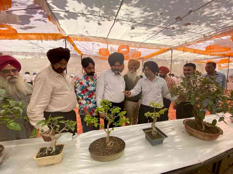 Kular inaugurated Punjab Bonsai Exhibition