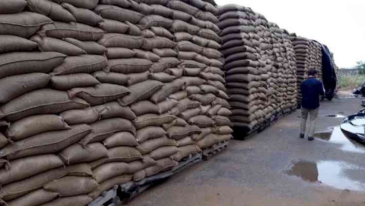 'Negligible quantity' food grains wasted in FCI storage: Govt