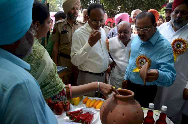 Farmers should adopt ridge seeding technique for paddy sowing for conservation of depleting underground water: Chander Gaind